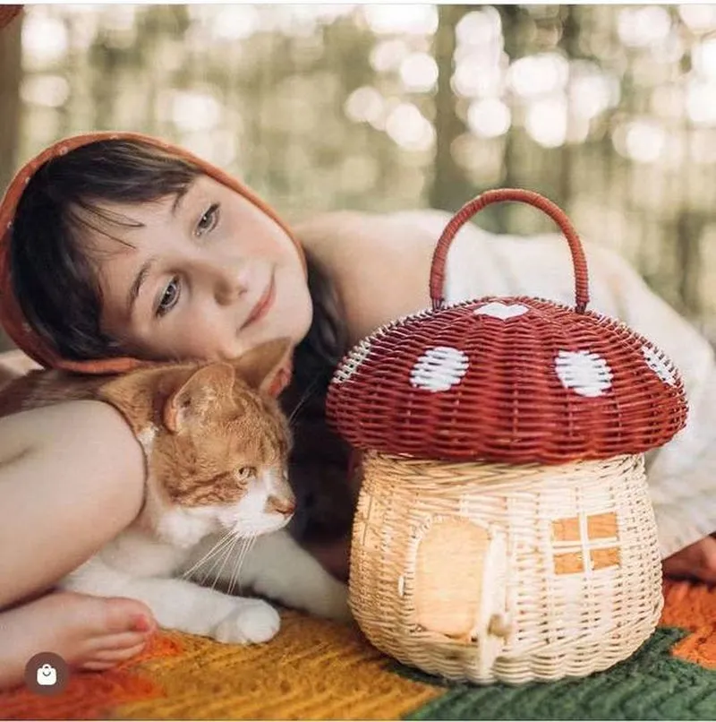 Cute Rattan Basket